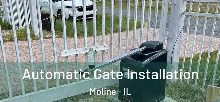  Automatic Gate Installation Moline - IL
