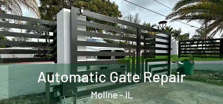  Automatic Gate Repair Moline - IL