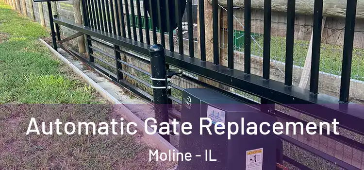  Automatic Gate Replacement Moline - IL