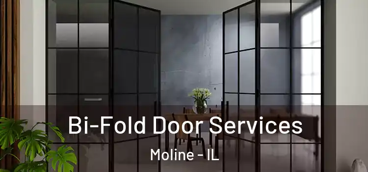  Bi-Fold Door Services Moline - IL
