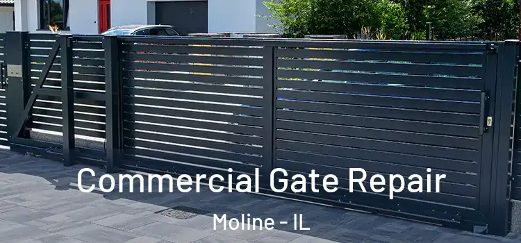 Commercial Gate Repair Moline - IL