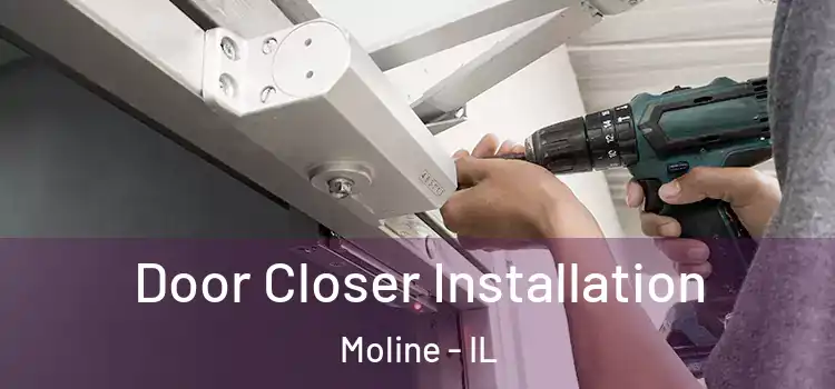  Door Closer Installation Moline - IL