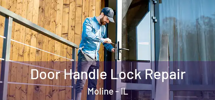 Door Handle Lock Repair Moline - IL
