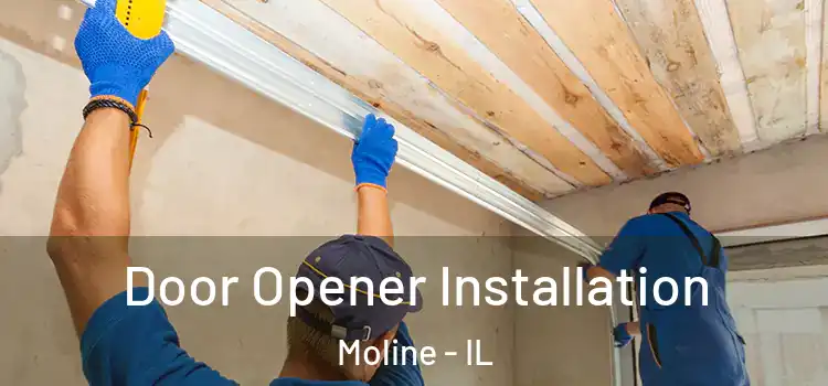  Door Opener Installation Moline - IL