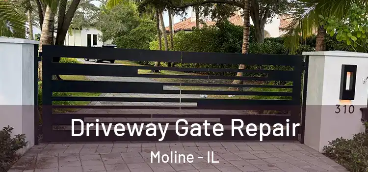 Driveway Gate Repair Moline - IL