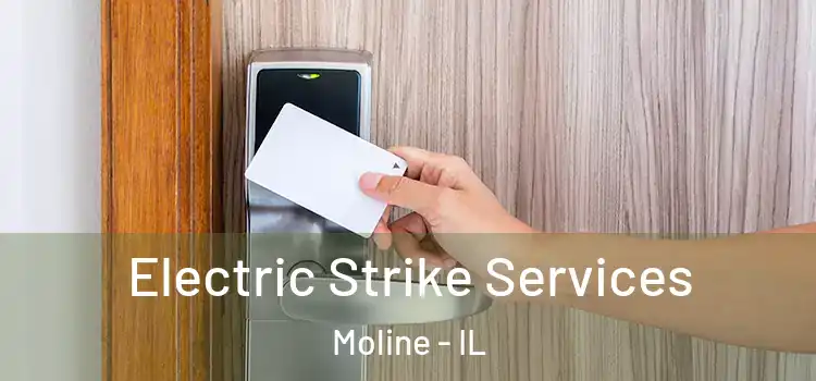  Electric Strike Services Moline - IL