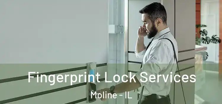  Fingerprint Lock Services Moline - IL