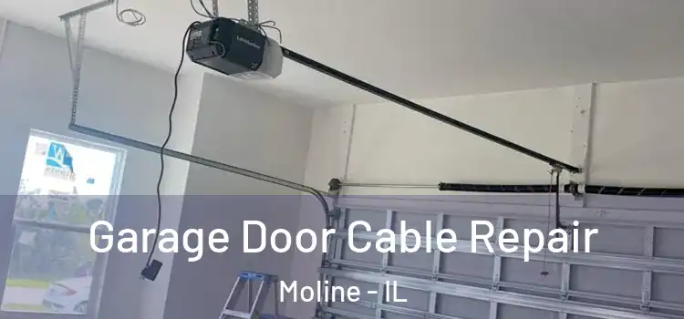  Garage Door Cable Repair Moline - IL
