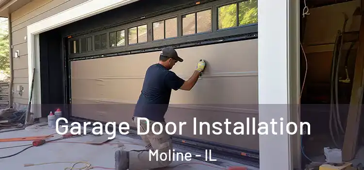  Garage Door Installation Moline - IL