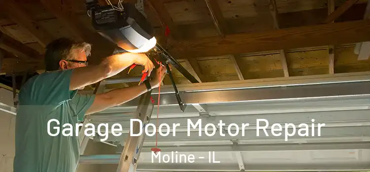  Garage Door Motor Repair Moline - IL