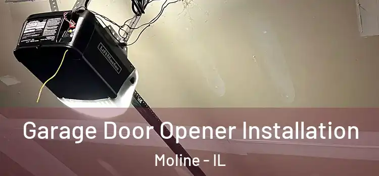  Garage Door Opener Installation Moline - IL