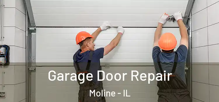  Garage Door Repair Moline - IL
