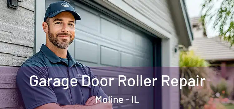  Garage Door Roller Repair Moline - IL