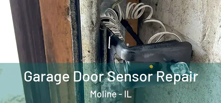Garage Door Sensor Repair Moline - IL