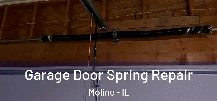  Garage Door Spring Repair Moline - IL