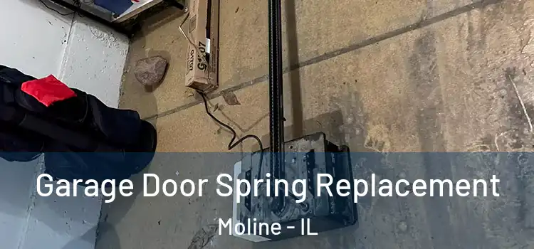  Garage Door Spring Replacement Moline - IL