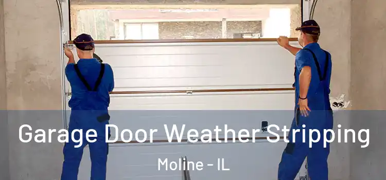 Garage Door Weather Stripping Moline - IL