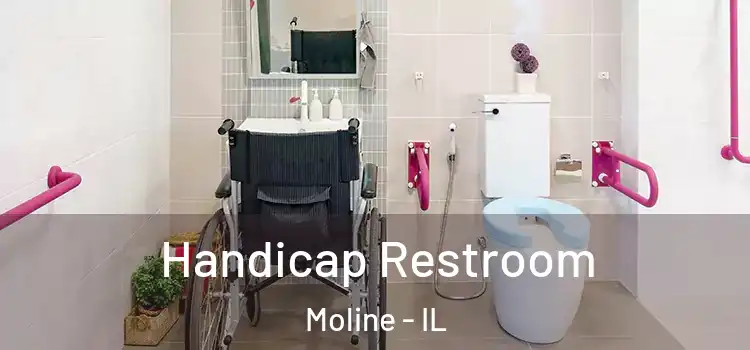  Handicap Restroom Moline - IL