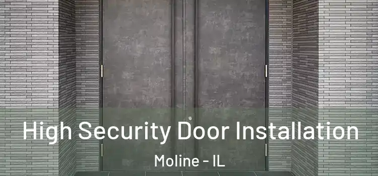  High Security Door Installation Moline - IL