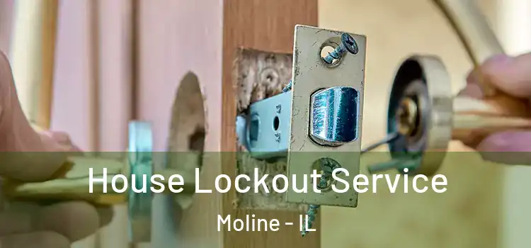  House Lockout Service Moline - IL
