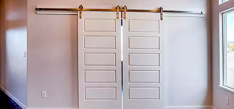 Glass Barn Door with Installation Hardware Kit Moline