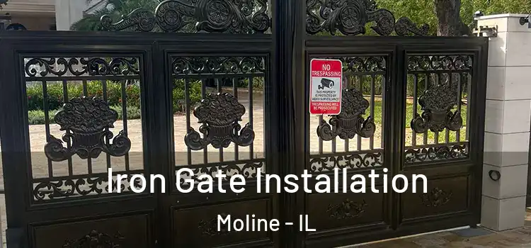  Iron Gate Installation Moline - IL