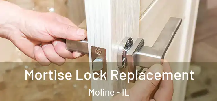  Mortise Lock Replacement Moline - IL