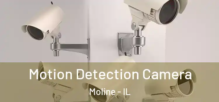  Motion Detection Camera Moline - IL