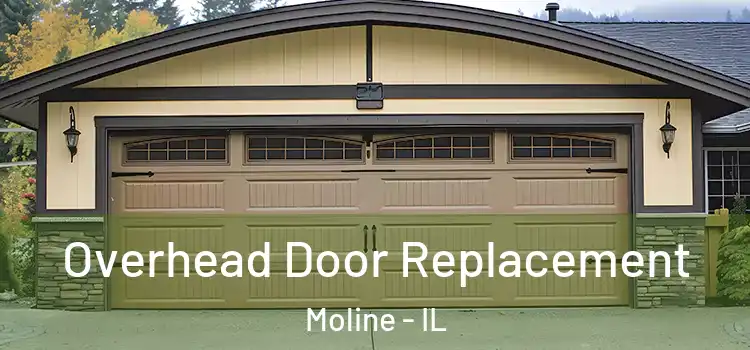  Overhead Door Replacement Moline - IL