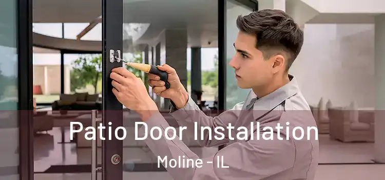  Patio Door Installation Moline - IL