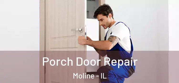  Porch Door Repair Moline - IL