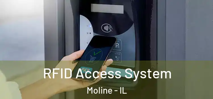  RFID Access System Moline - IL