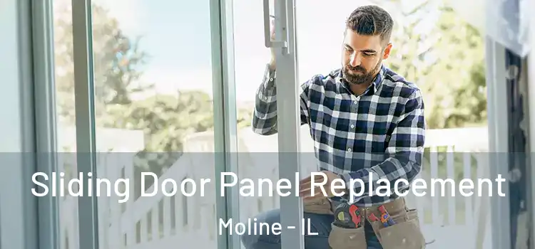  Sliding Door Panel Replacement Moline - IL