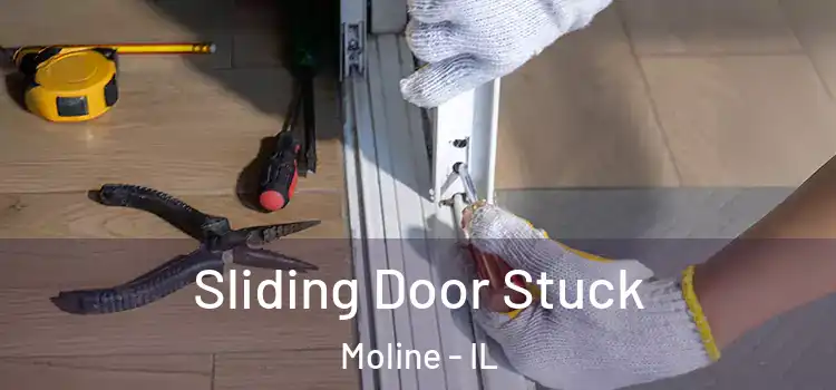  Sliding Door Stuck Moline - IL
