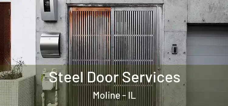Steel Door Services Moline - IL