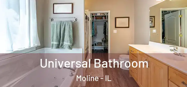  Universal Bathroom Moline - IL