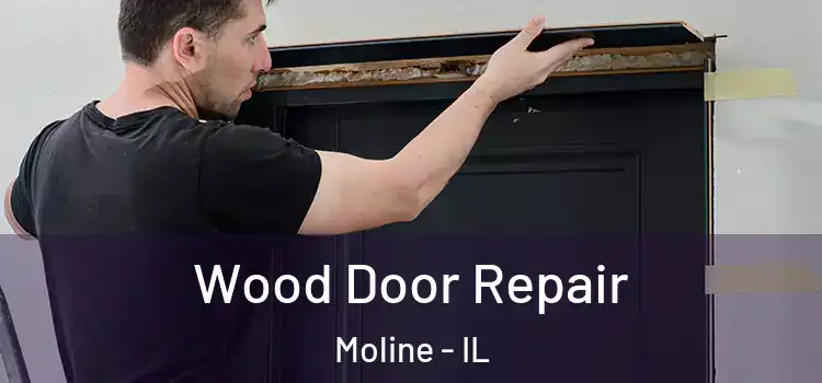 Wood Door Repair Moline - IL