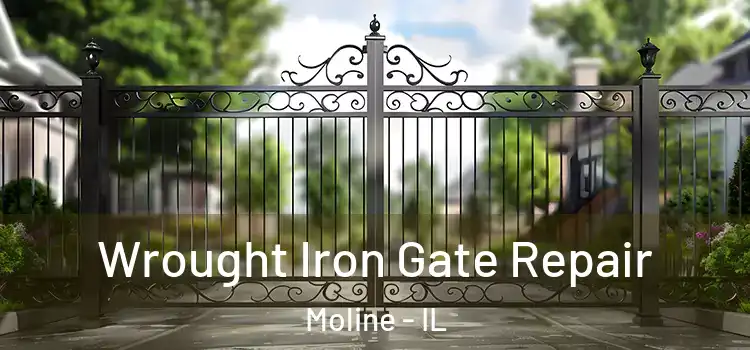 Wrought Iron Gate Repair Moline - IL